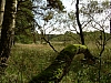 DSCN5875.jpg DSCN5875.jpg